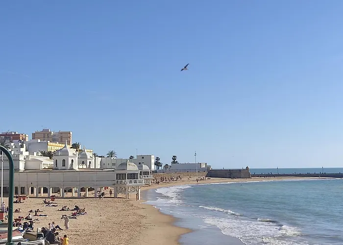 Estreno Centro Y Playa Apartamento